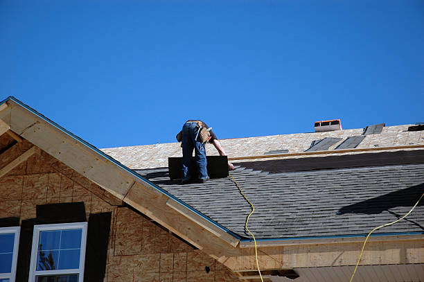 Best Chimney Flashing Repair  in Caledonia, MI