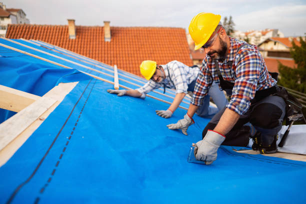 Best Sheet Metal Roofing  in Caledonia, MI