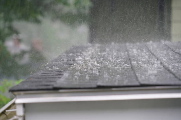 Best Roof Insulation Installation  in Caledonia, MI