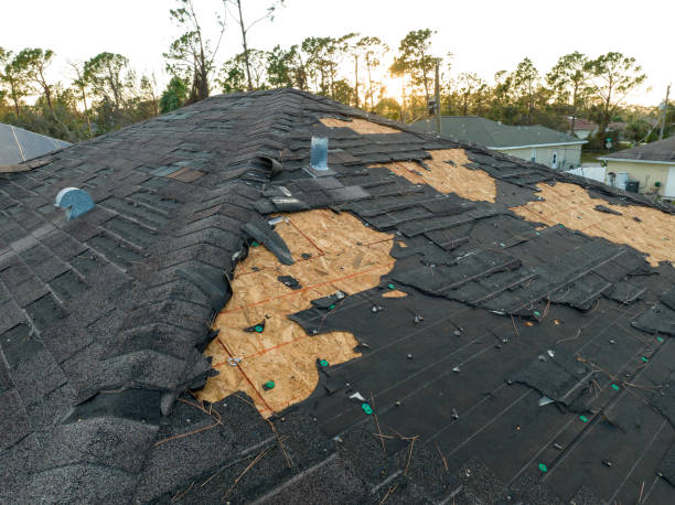 Best Gutter Replacement  in Caledonia, MI