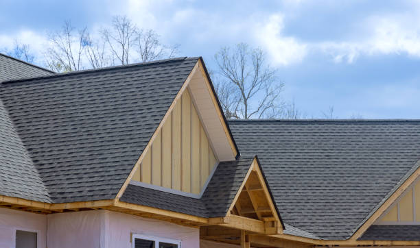 Best Asphalt Shingles Roofing  in Caledonia, MI
