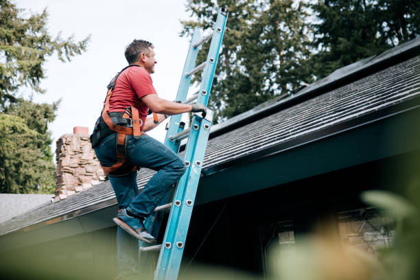 Best Roof Insulation Installation  in Caledonia, MI