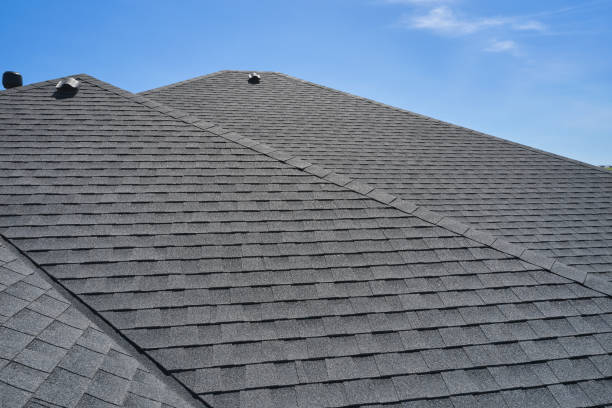Best Solar Panel Roofing Installation  in Caledonia, MI