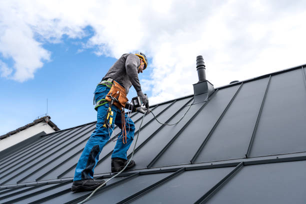 Best Asphalt Shingle Roofing  in Caledonia, MI