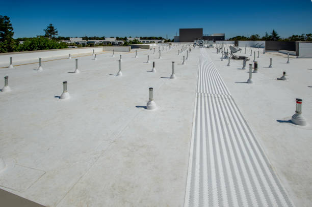 Best Roof Moss and Algae Removal  in Caledonia, MI